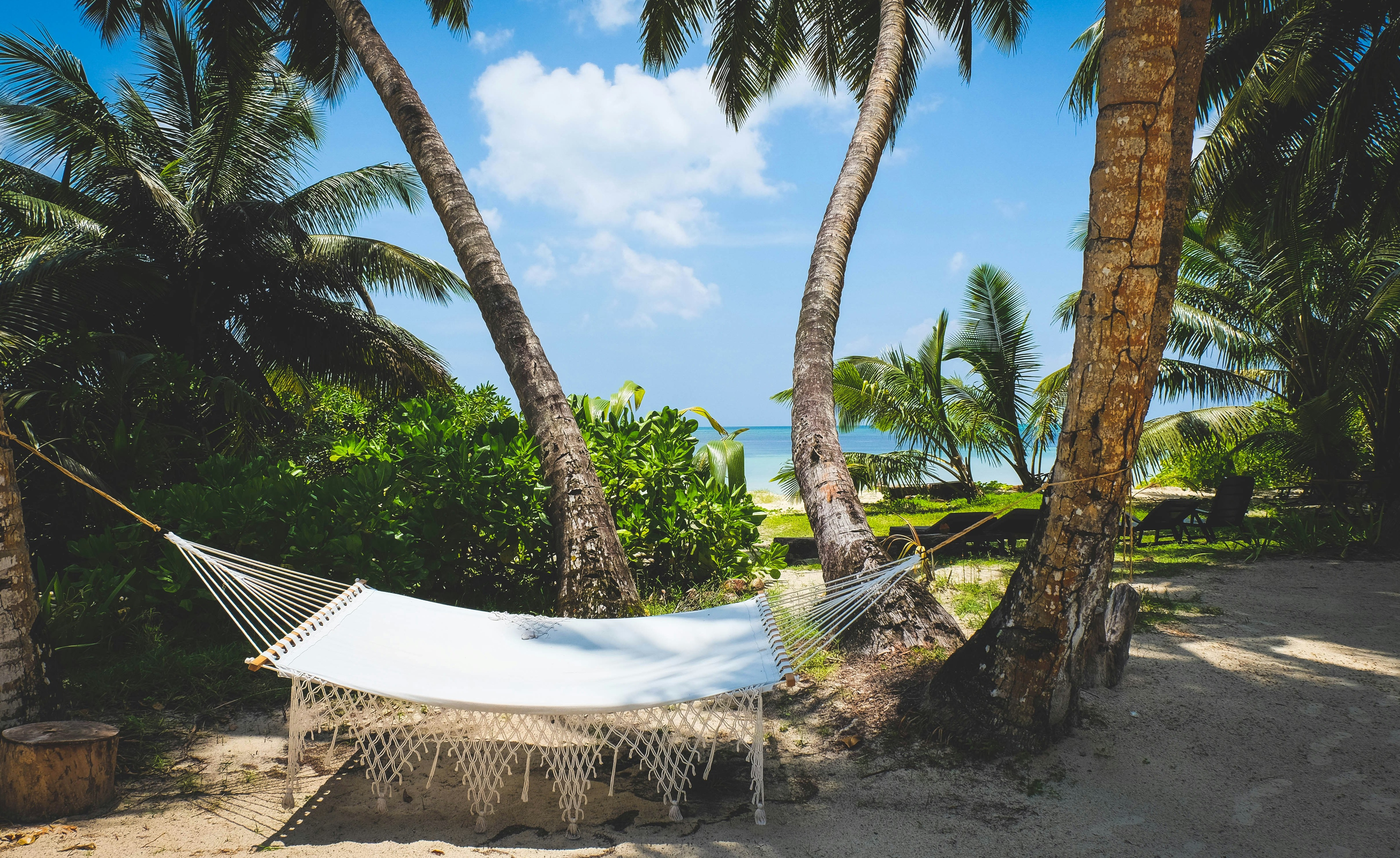 фото Баунти-пляжи Сейшельских островов ждут! Летим в апреле со скидками!