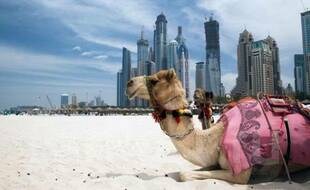 фото Прекрасные Эмираты ждут в октябре! Летим на 11 дней!