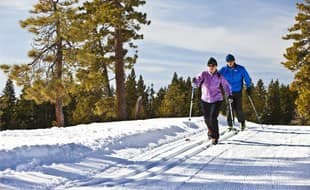 фото В конце января летим в горы! Лыжи или сноуборд?
