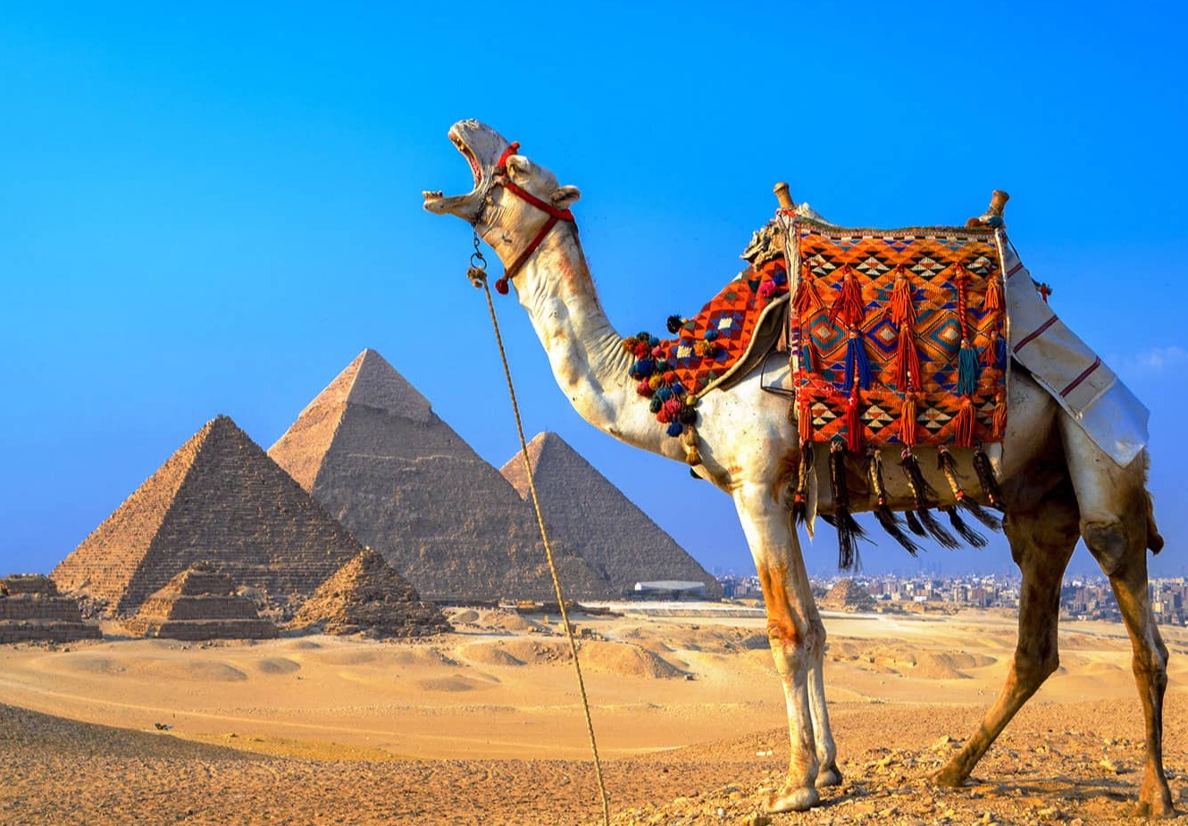 фотографии Фантастическая неделя в Египте! Потрясающий тур в Шарм-эль-Шейх со скидками! 
