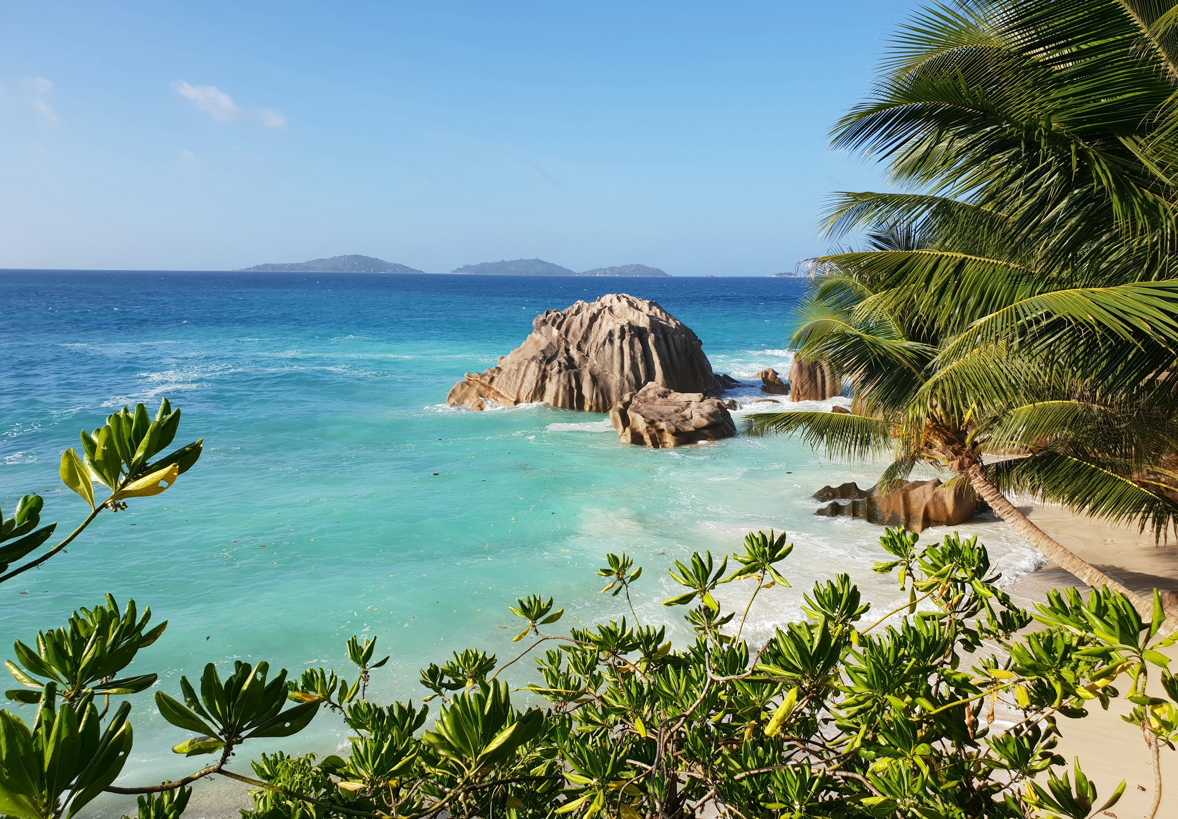 фотографии 8 дней рая в самом райском уголке мира! Летим на Сейшелы по суперцене! 