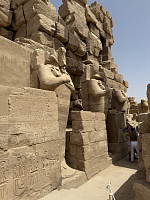 Незабываемая поездка в Египет. 