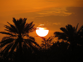 Бахрейн-недооценённая жемчужина Персидского залива!